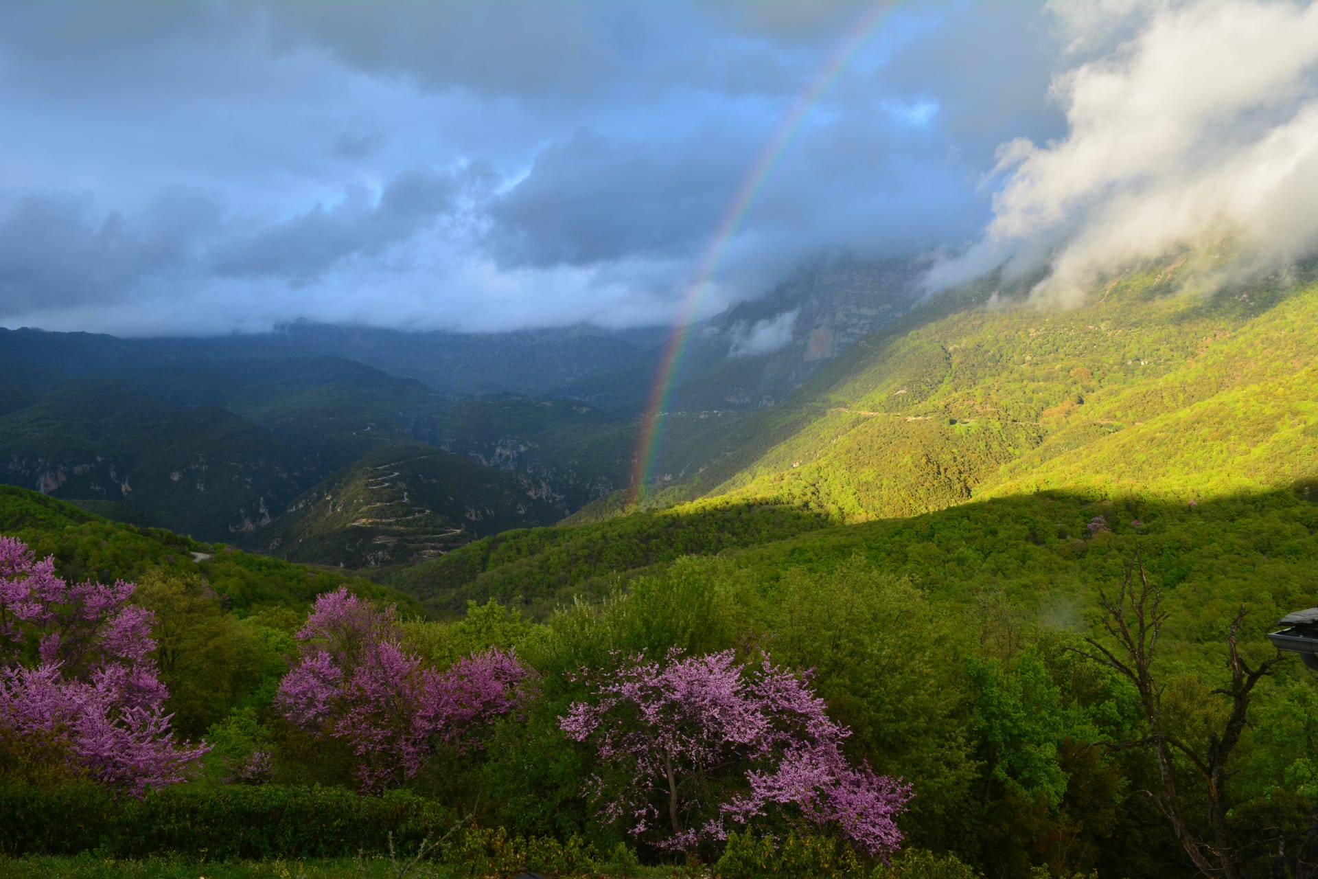 Aberratio Boutique Hotel