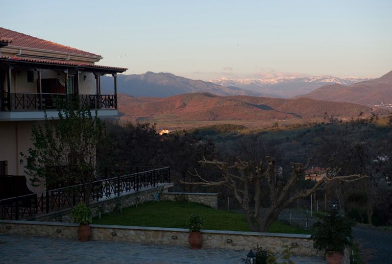 Dellas Boutique Hotel