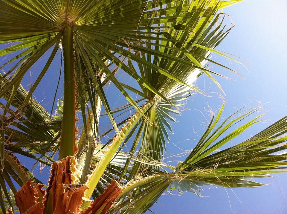 Angela Suites Boutique Hotel